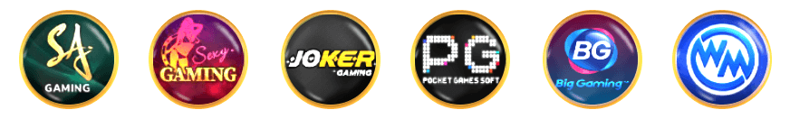 tga80-partner